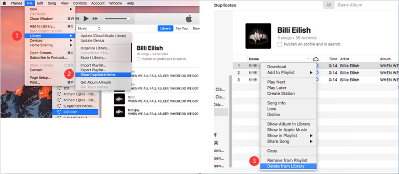 Clean iTunes Manually