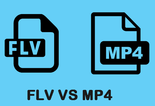 FLV vs MP4