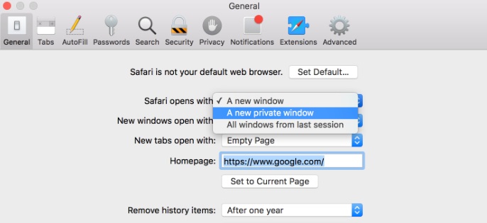 Use Private Browsing in Safari