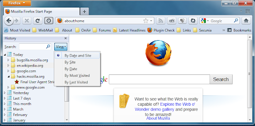 Delete History in Firefox Windows