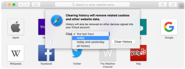 Remove Safari History and Reset It 