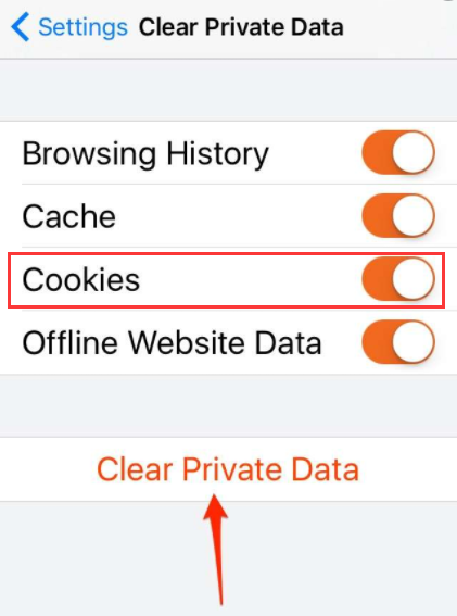Очистка файлов cookie в Firefox на iPhone