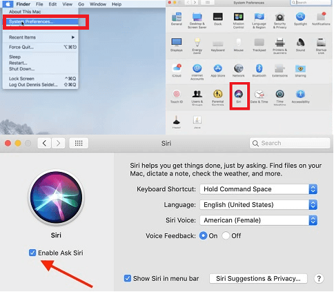 How to Disable Siri on Mac