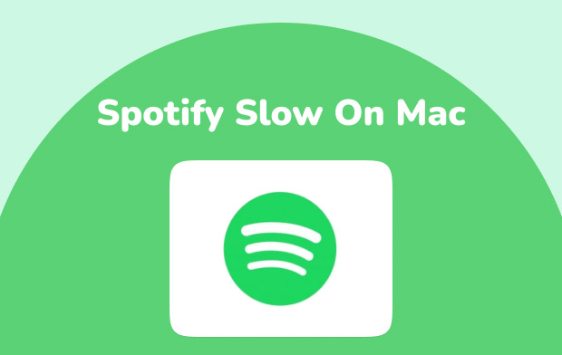 Mac에서 느린 Spotify