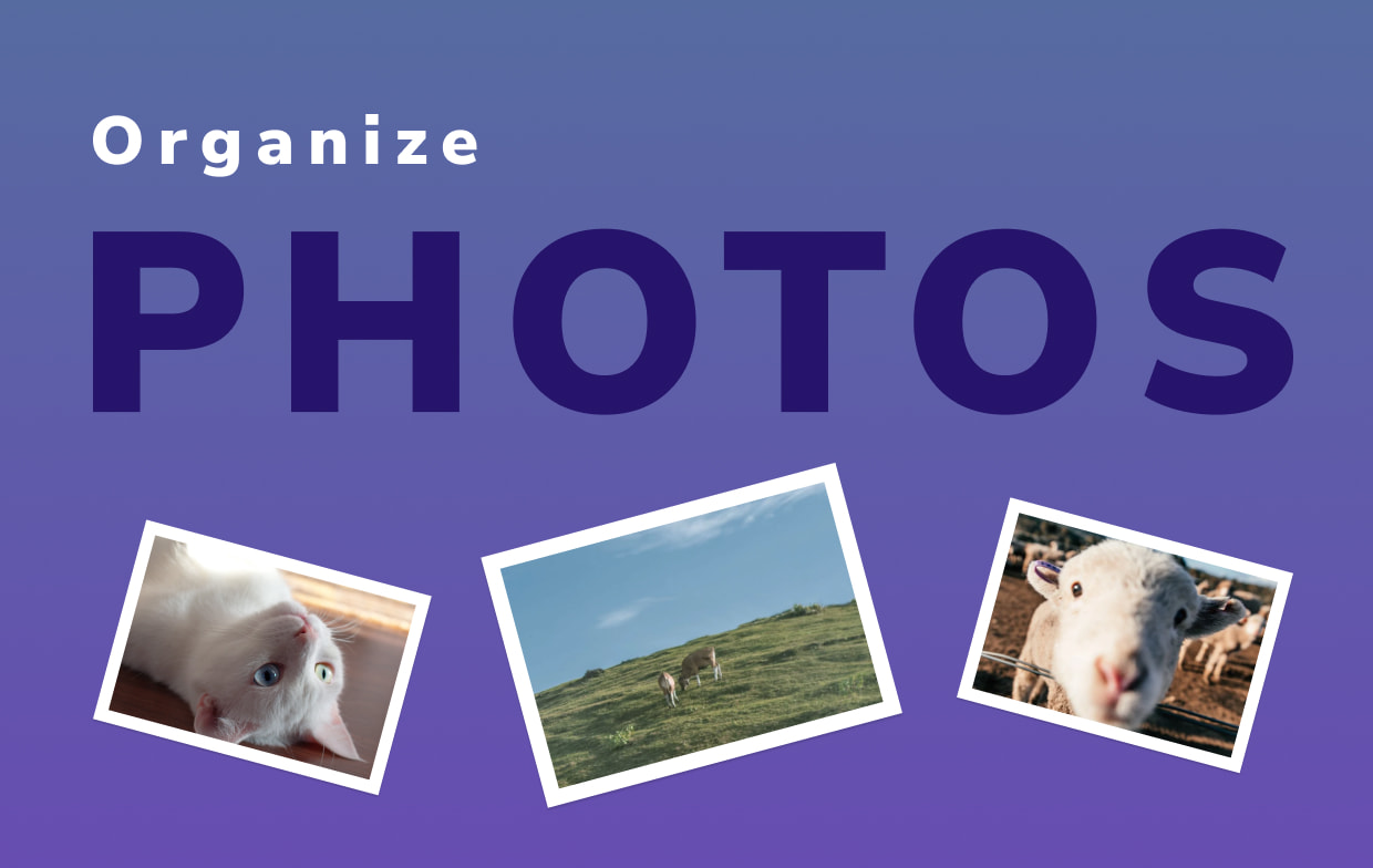 How to Organize Your Photos on Mac