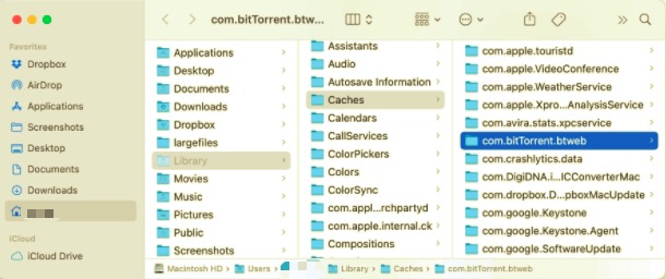 Удалите BitTorrent со всеми связанными файлами