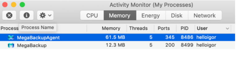  Removing MegaBackup on Your Activity Monitor (My Processes)