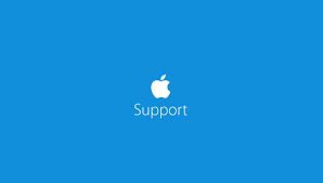 Apple Support Icon