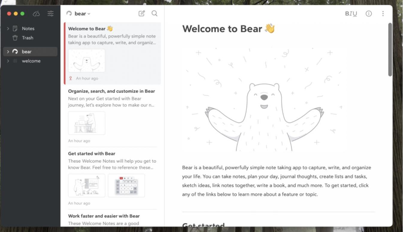 Bear Best Writing App