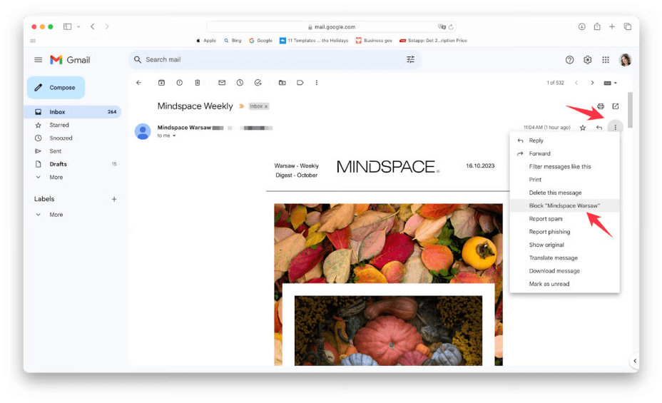 Block Sender Gmail