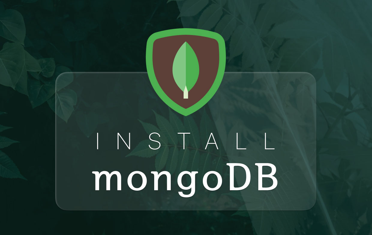 Mac에 MongoDB 설치