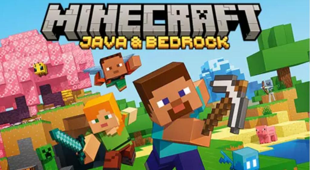 Minecraft Multiplayer Game