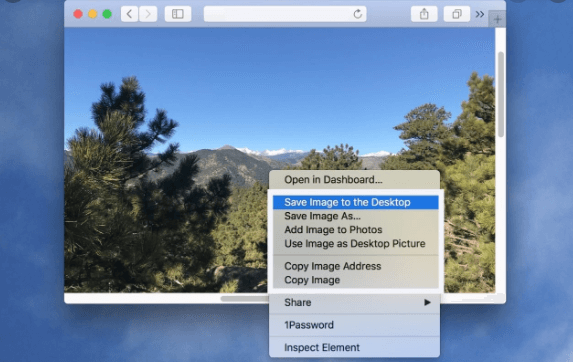 Fare clic con il tasto destro per salvare l'immagine su Mac