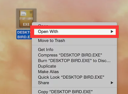 Can You Run an EXE File on a Mac