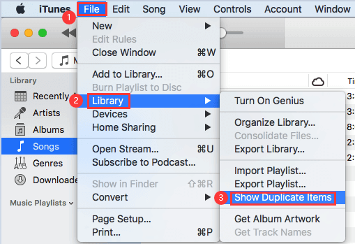 Remove Duplicate Files