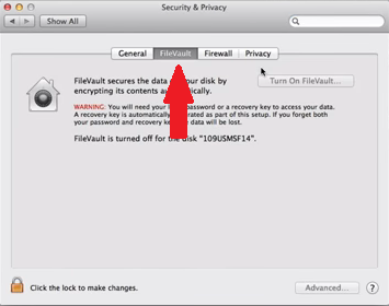 检查 Mac 上是否启用了 FileVault 磁盘加密