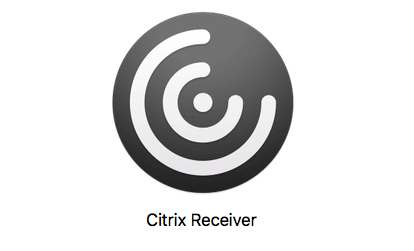 Get citrix receiver tightvnc viewer blank screen