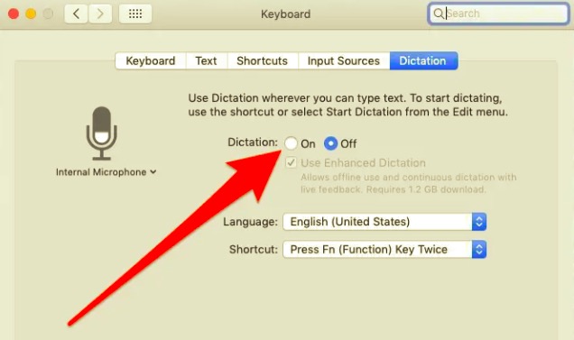 Switch on Dictation Recognition to Fix Microhone Not Working