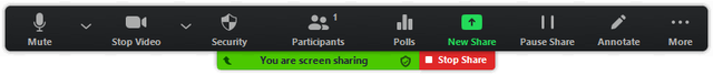 Zoom Screen Sharing Menus