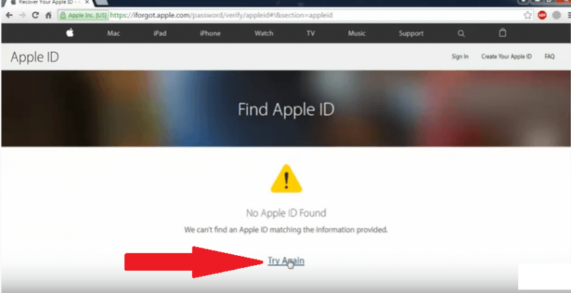  Type in Information to Check Apple ID for Fixing This Item is Temporarily Unavailable