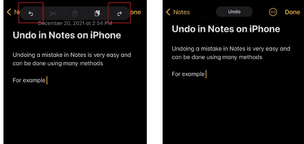 Easily Undo in Notes with Finger