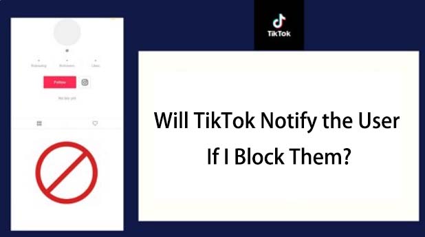 Will TikTok Notify the User I Blocked?