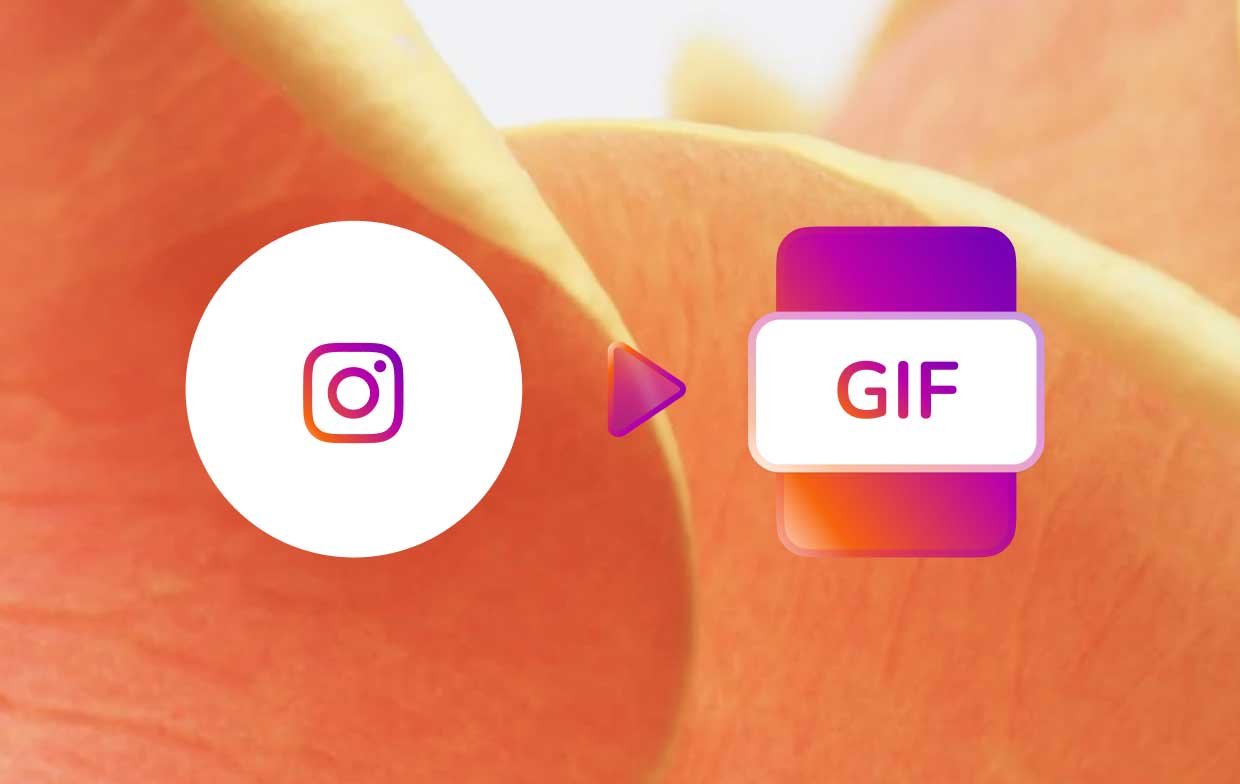 Instagram 비디오를 GIF로 변환하는 방법