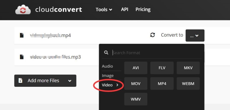 Gratis FLV Converter online