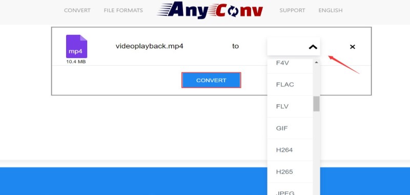 AnyConv online DAT-converter