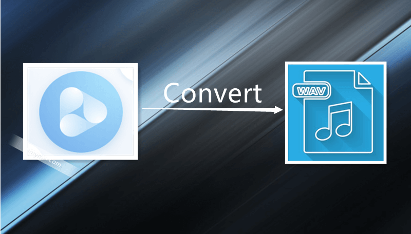 Convert Video to WAV