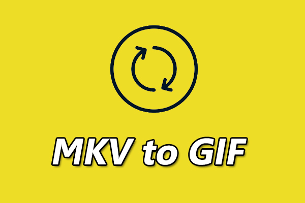 以简单的方式将 MKV 转换为 GIF