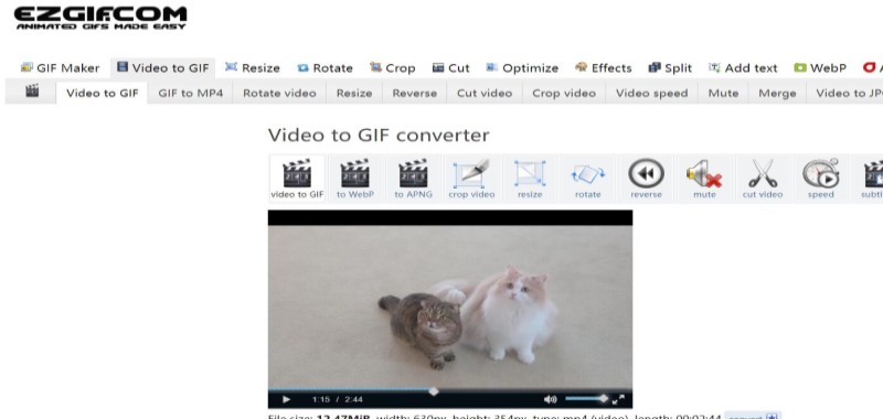 Онлайн-конвертер FLV в GIF