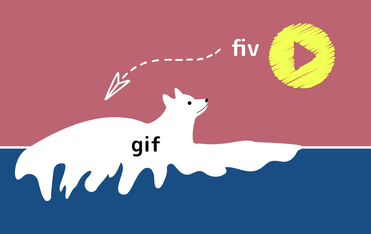 Hoe FLV naar GIF te converteren