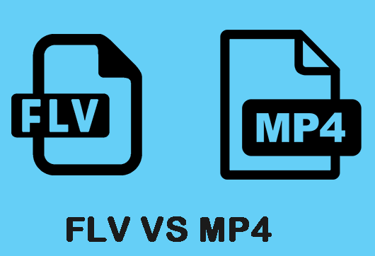 FLV x MP4