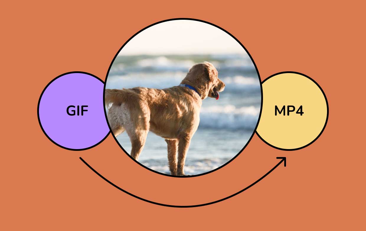 How to Convert GIF to MP4? Easy Ways on Mac/Win/Android/iOS