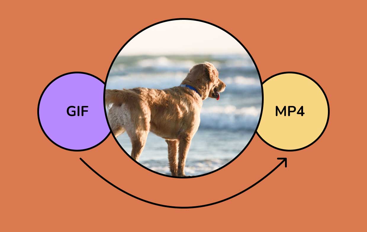 How to Convert GIF to MP4