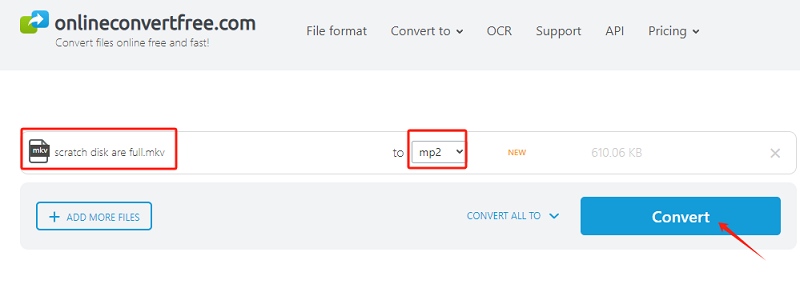 Convert MKV to MP2 for Free