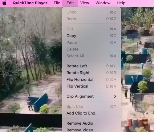 Gebruik QuickTime om MOV te converteren