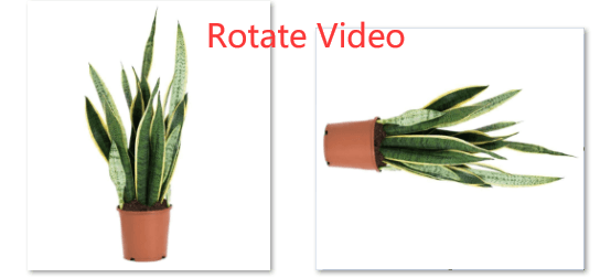 Rotate Video 