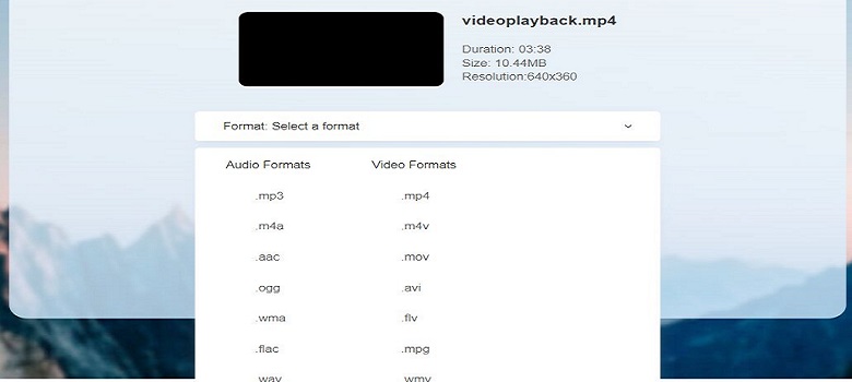 Online MPG Video Converter