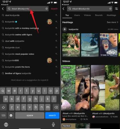 TikTok Search Bar