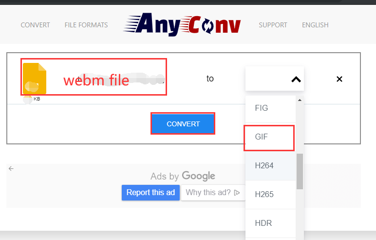 Convert WebM to GIF with Any Conv